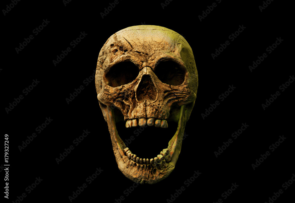 Human skull on Rich Colors. The concept of death, horror. A symbol of spooky Halloween. 3d rendering illustration.