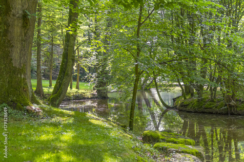 idyllic park scenery