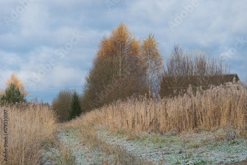 Wallpaper Mural First snow on village road in field in late autumn Torontodigital.ca