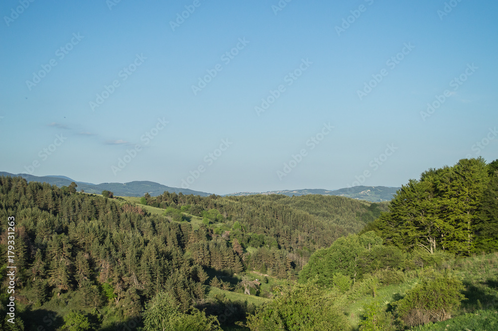 Green hills Green hills