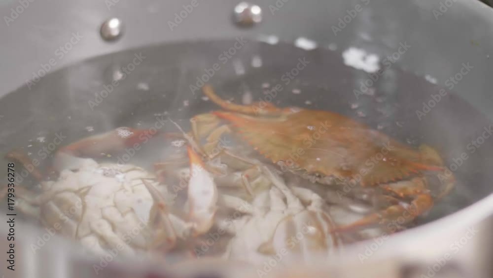 Boiling crabs in water Boiling crabs in water