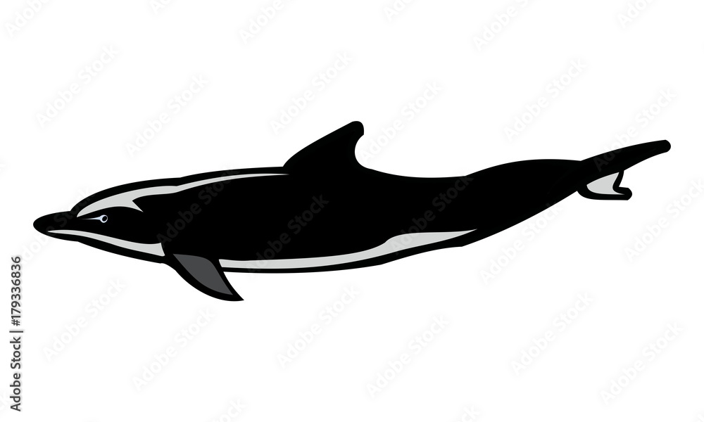 Fototapeta premium silhouette of the dolphin