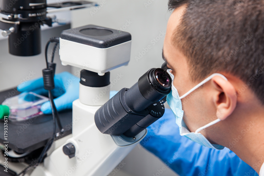 Young male scientist looking at cell culture under the microscope Young male scientist looking at cell culture under the microscope