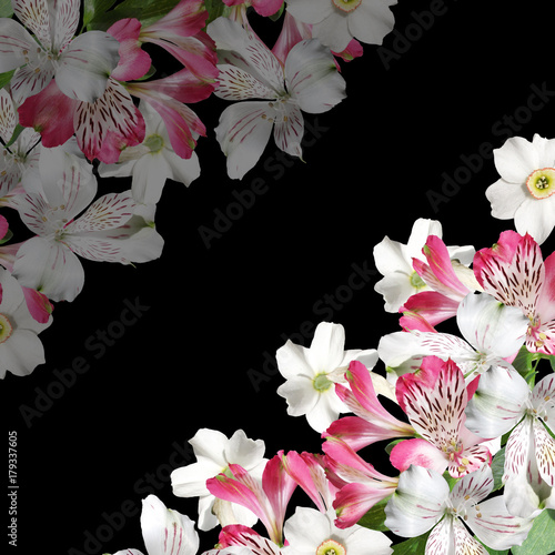 Beautiful floral background of narcissus and alstroemerias 