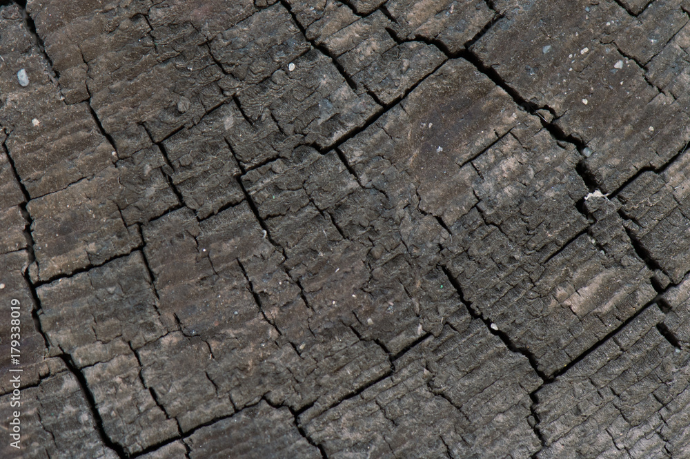 Front view of dark grey old timber texture or background. Copy space. Place for text. graphical resource Front view of dark grey old timber texture or background. Copy space. Place for text. graphical resource