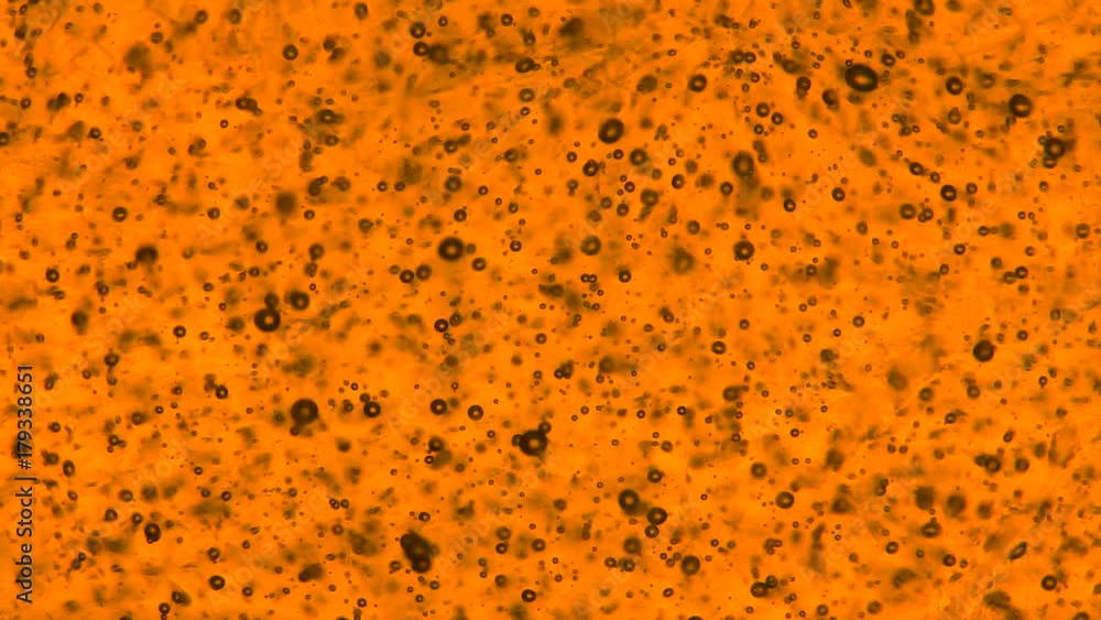 Air bubbles floating in a thick orange liquid. rise to the top. Air bubbles floating in a thick orange liquid. rise to the top.