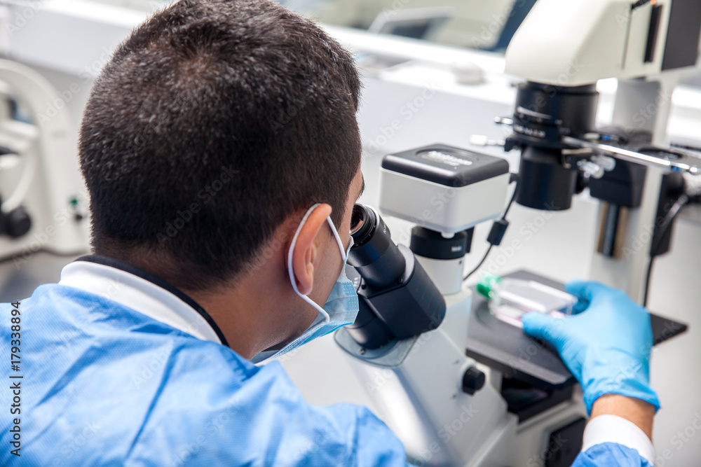 Young male scientist looking at cell culture under the microscope Young male scientist looking at cell culture under the microscope