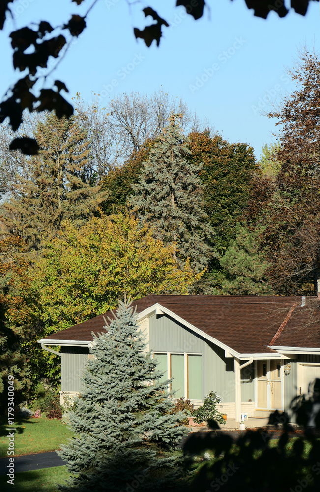 A suburban house framed by trees A suburban house framed by trees