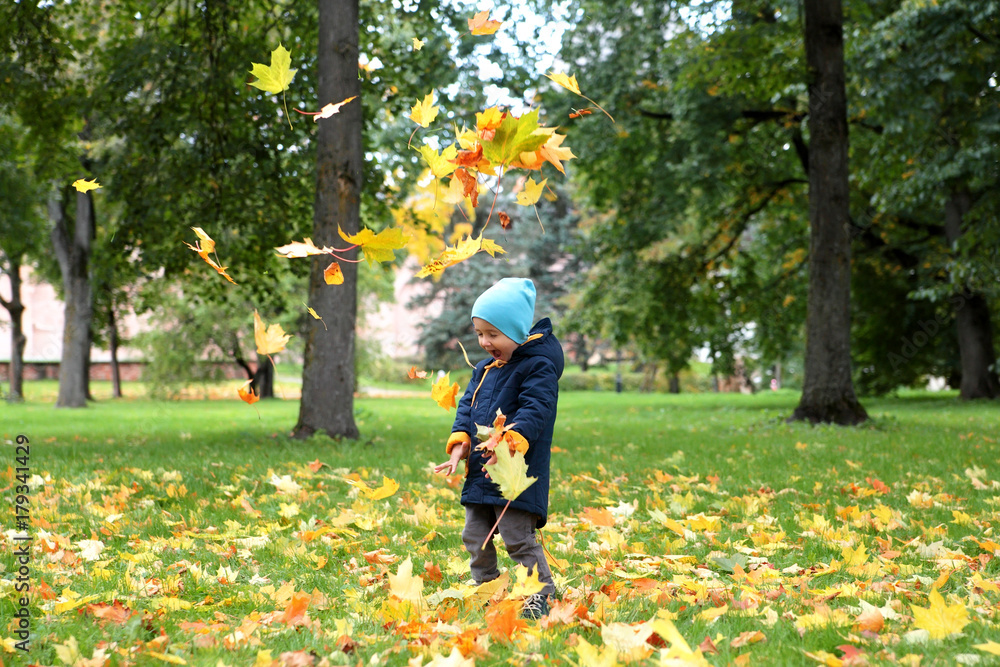 Fototapeta premium Boy throwing autumn leaves up in the park.
