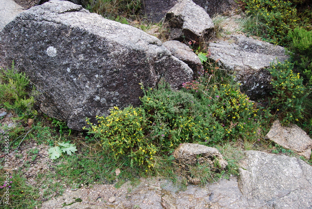 Paisagens Geres/Douro