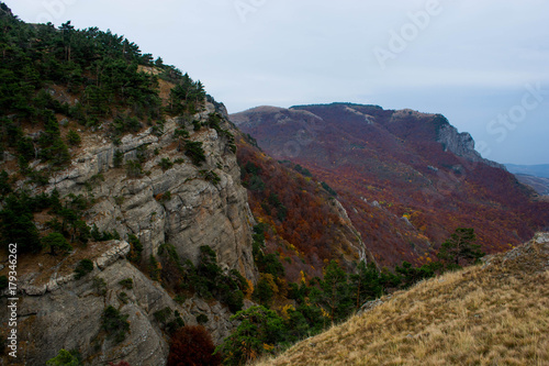 Mountain landscape 8