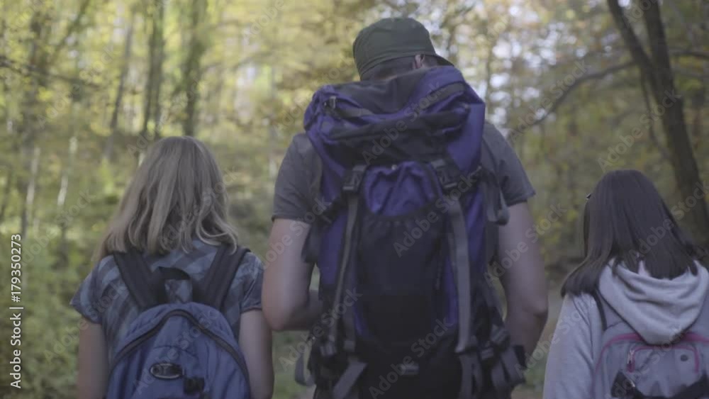 Overhead steady cam tracking shot of young adults, man and two woman with backpacks and trekking poles during hiking through the deep forest in blurred background, autumn season, Overhead steady cam tracking shot of young adults, man and two woman with backpacks and trekking poles during hiking through the deep forest in blurred background, autumn season,