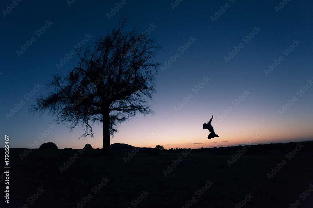 Silhouette of Person Jumping and Tree at Sunset 