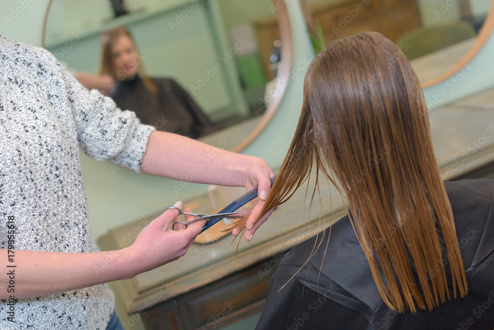 female hairdresser hold between fingers blonde hair female hairdresser hold between fingers blonde hair