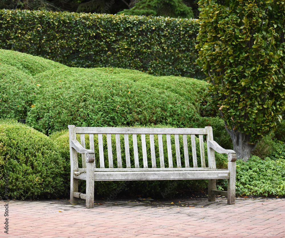 Fototapeta premium park bench