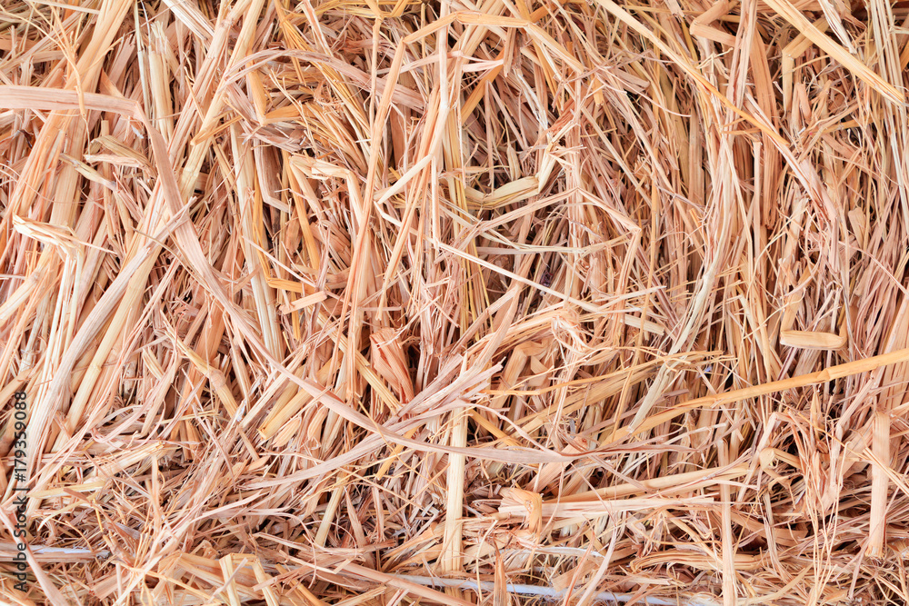 Dry Straw texture background with copy space add text Dry Straw texture background with copy space add text