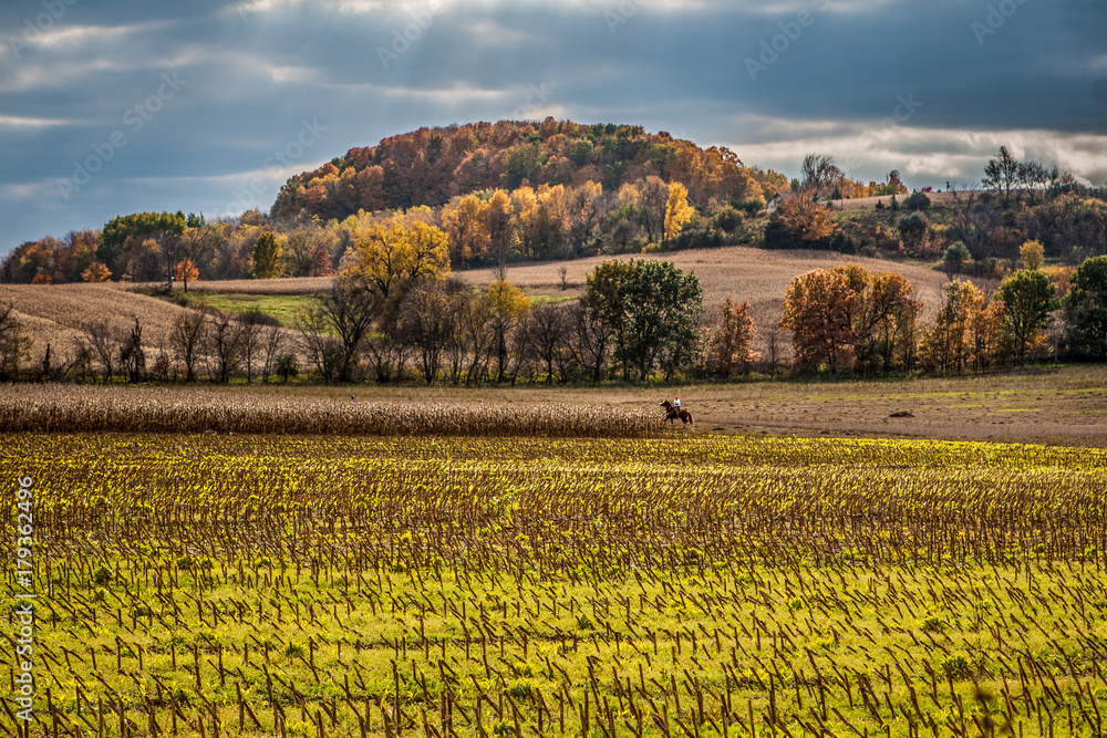 Autumn in Wisconsin, harvested cornfield with horseback rider in background, focus on cornfield in foreground