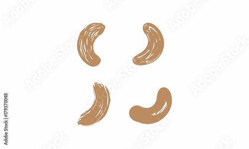 nuts vector vintage brush