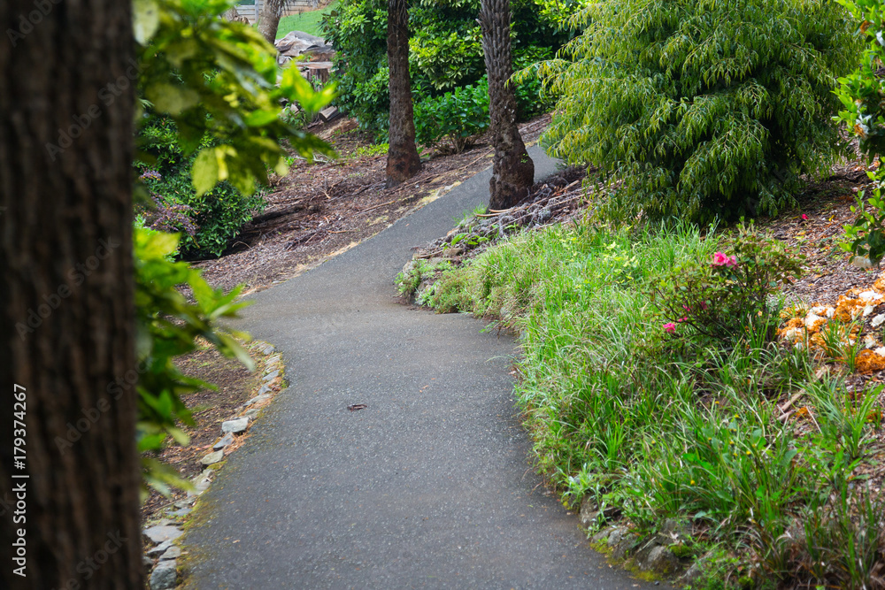 Naklejka premium Ścieżka prowadząca przez ogród