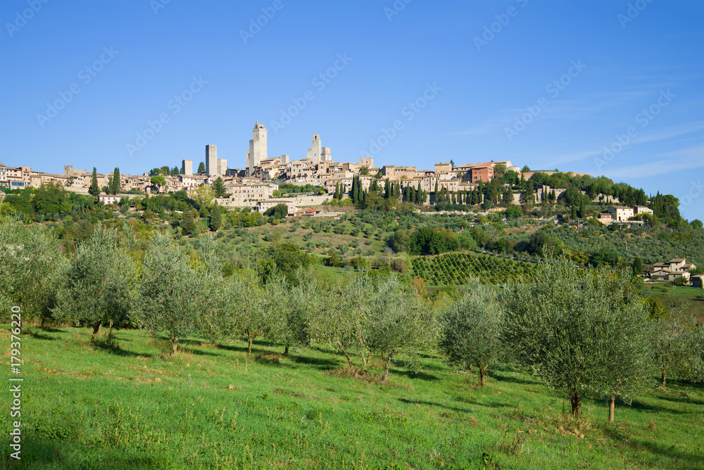 Olive grove and medieval town of San Gimignano on a sunny afternoon. Italy