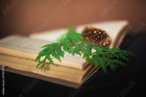 Winter photography with books, a cup of tea, fallen yellow leaves, chestnuts. On a black wooden background lie books and a cup of tea. A card with a place for your text.