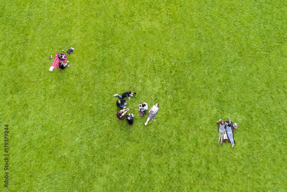 Top view of the group of people on a green lawn in the park