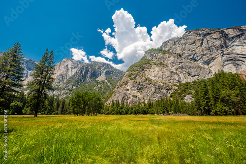 Meadow in Yosemite National Park Valley © haveseen