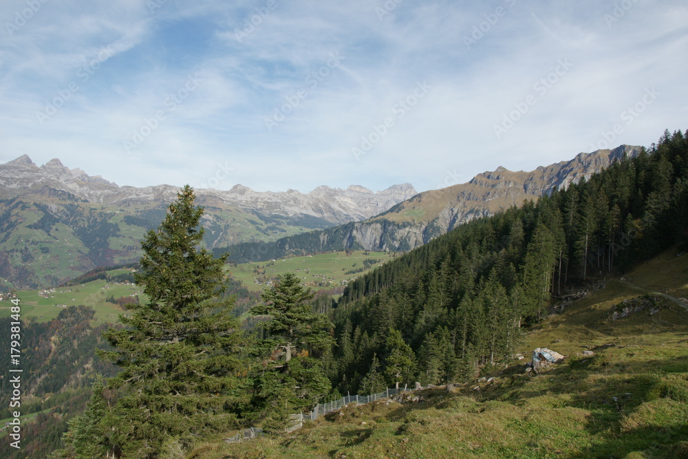 Swiss View
