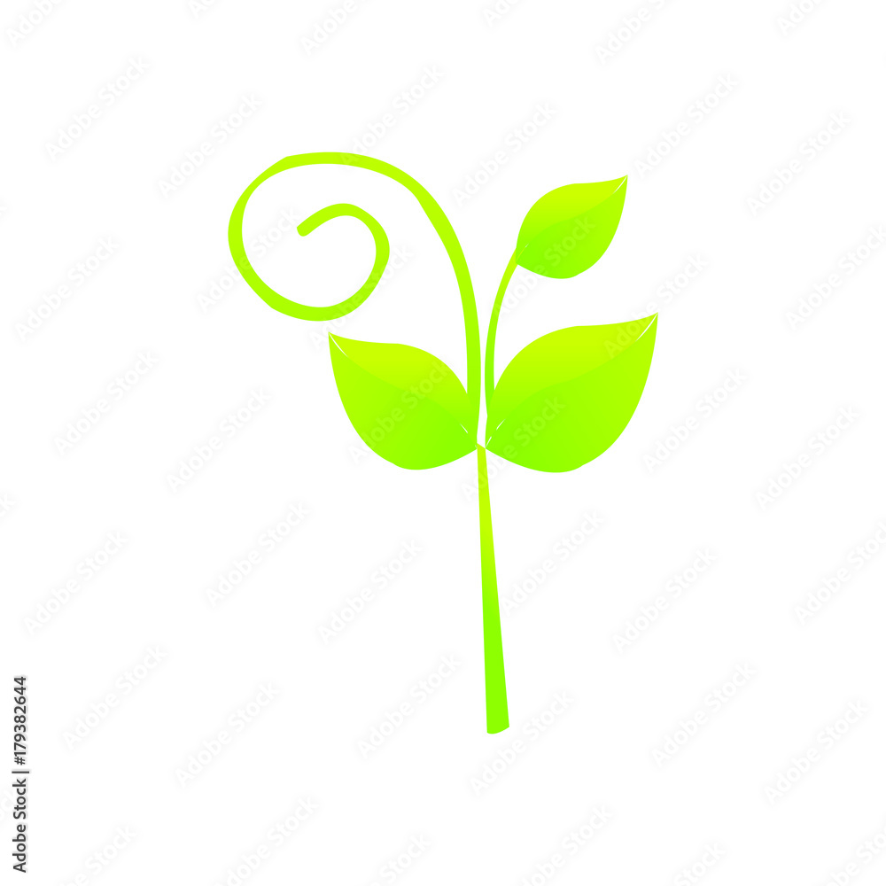 Leaf Leaf