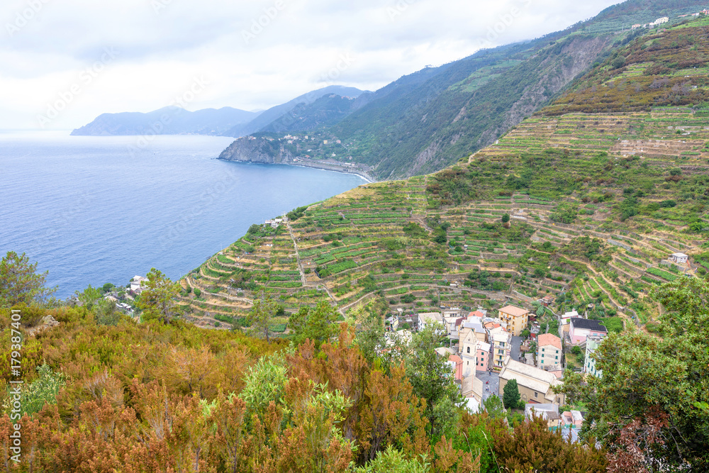 Beautiful view to Manarola mountains and road