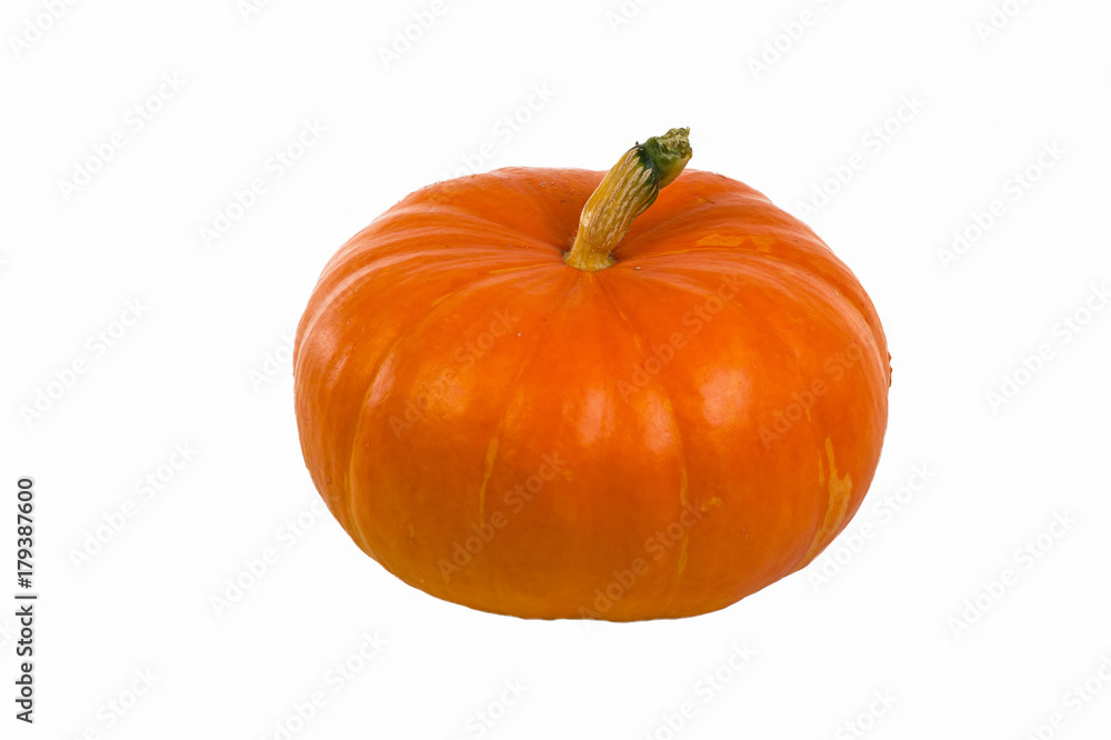 Pumpkin on white background. Fresh and orange Pumpkin on white background. Fresh and orange