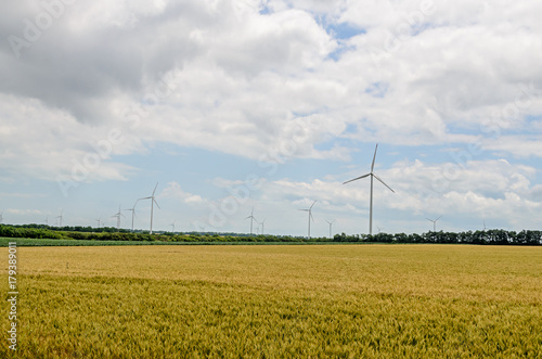 Eolian field and wind turbines farm, near yellow fllowers field, clouds blue sky