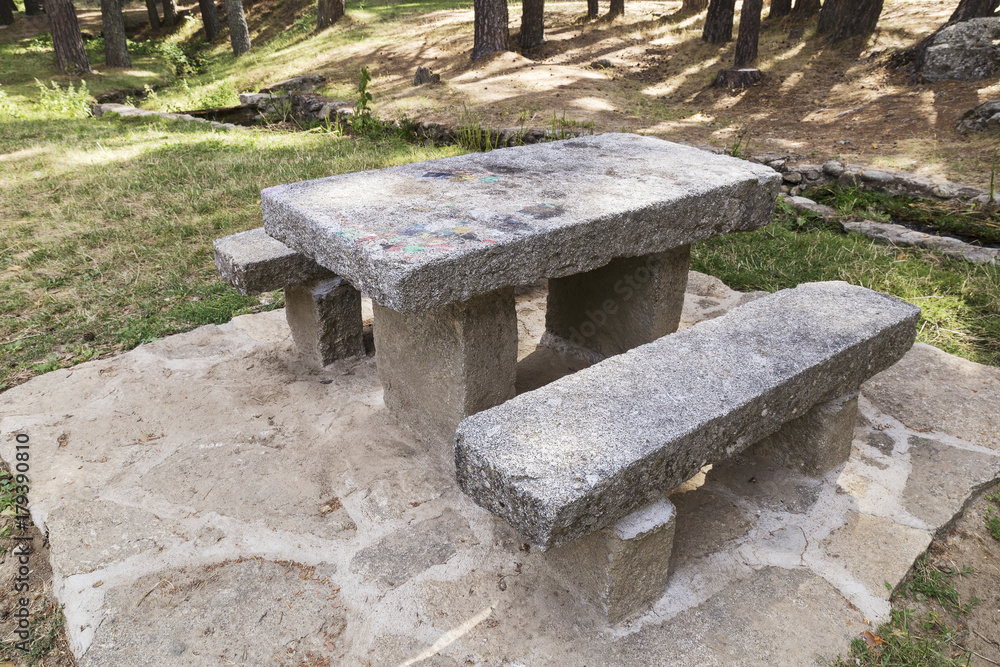 stone table and benches in the middle of a pine forest
