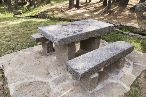 stone table and benches in the middle of a pine forest 