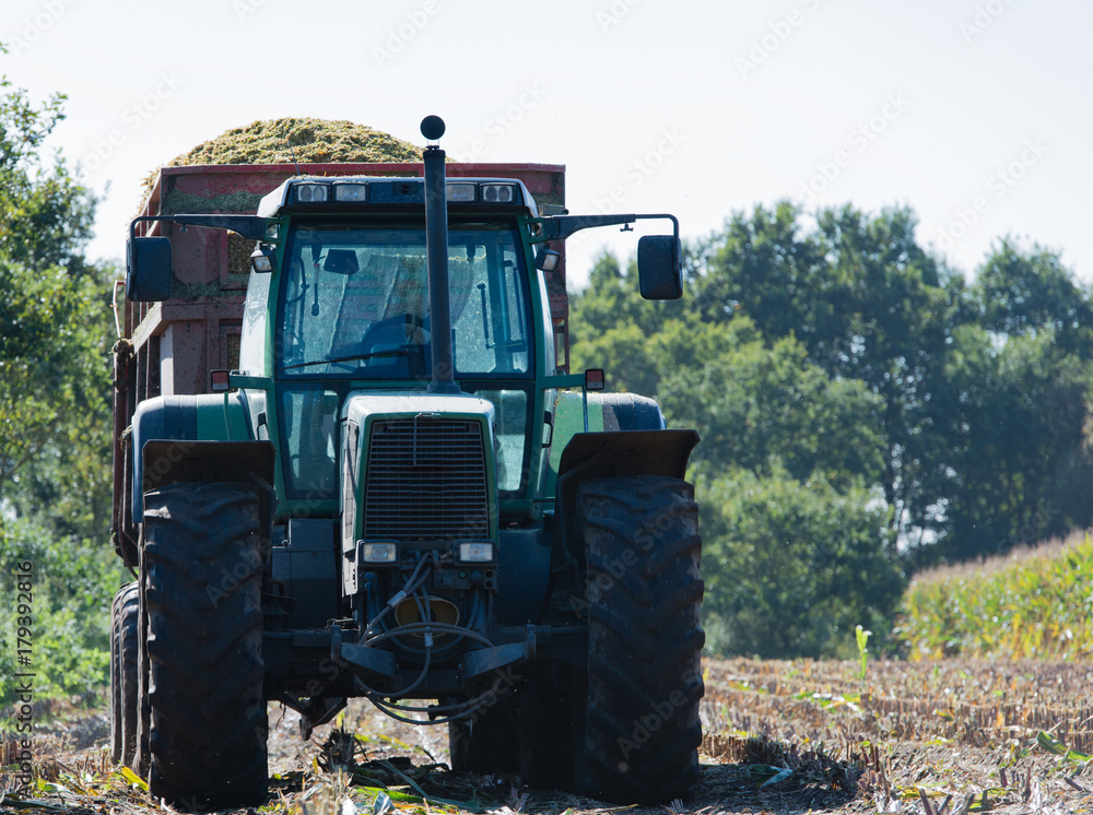 Maisernte, Maishäcksler in Aktion, Erntewagen mit Traktor Maisernte, Maishäcksler in Aktion, Erntewagen mit Traktor