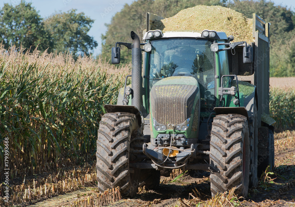Maisernte, Maishäcksler in Aktion, Erntewagen mit Traktor Maisernte, Maishäcksler in Aktion, Erntewagen mit Traktor