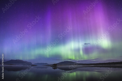 Cold Aurora