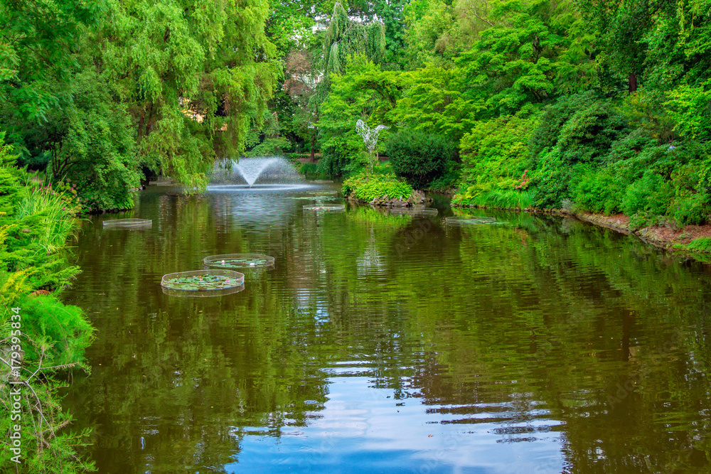 View of beautiful garden with fountain, green trees, bushes and blue sky, reflecting in a pond water. Summer natural landscape View of beautiful garden with fountain, green trees, bushes and blue sky, reflecting in a pond water. Summer natural landscape