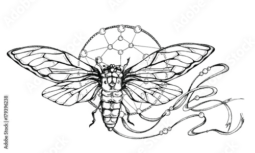 insect on the catcher of dreams