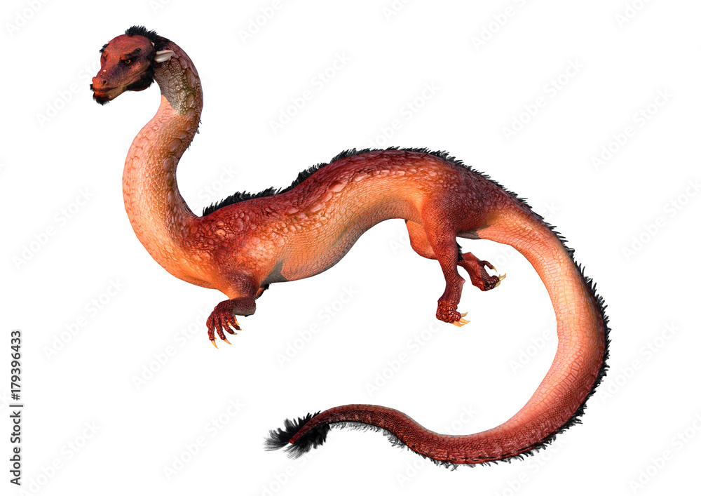 Obraz premium 3D Rendering Eastern Dragon on White