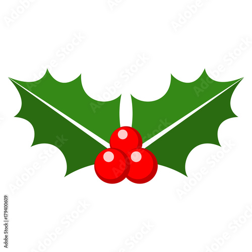 holly berry christmas, flat design photo