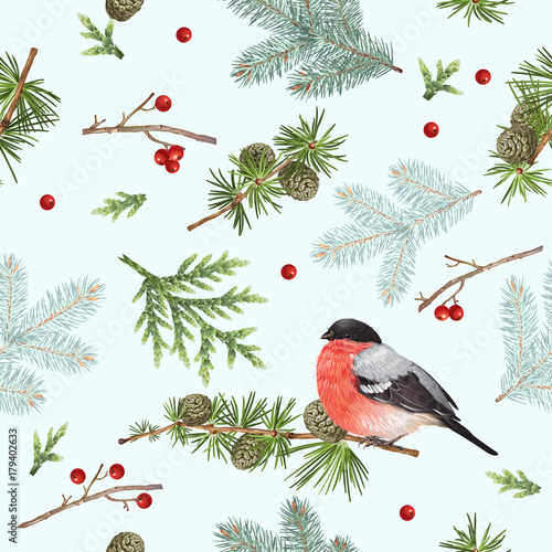 Winter bullfinch pattern