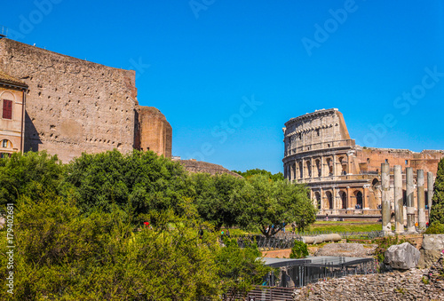 Colosseum in Rome, Italy