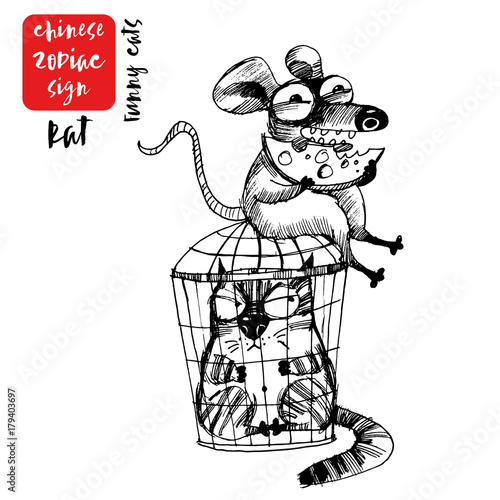 rat chinese zodiac sign funny cats