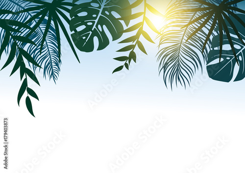 Summer concept design of tropical leaves with sunlight vector illustration