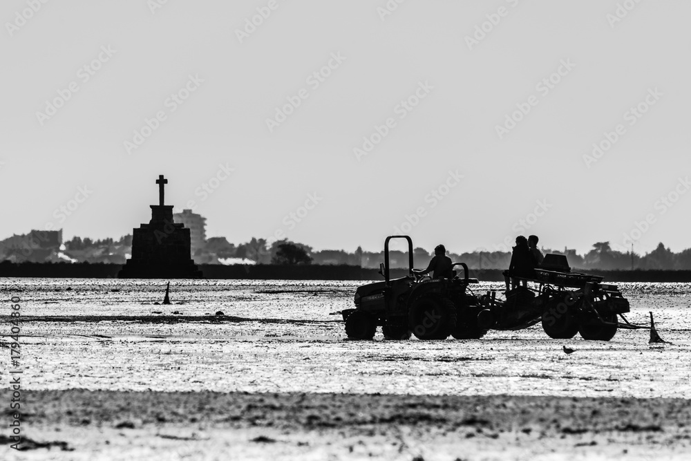 Fototapeta premium Man harvesting shells at low tide in front of a shelter cross in the morning