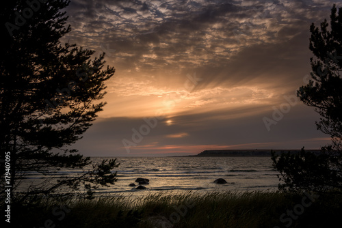 Gotland late evening 6