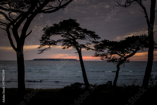 Gotland late evening 1