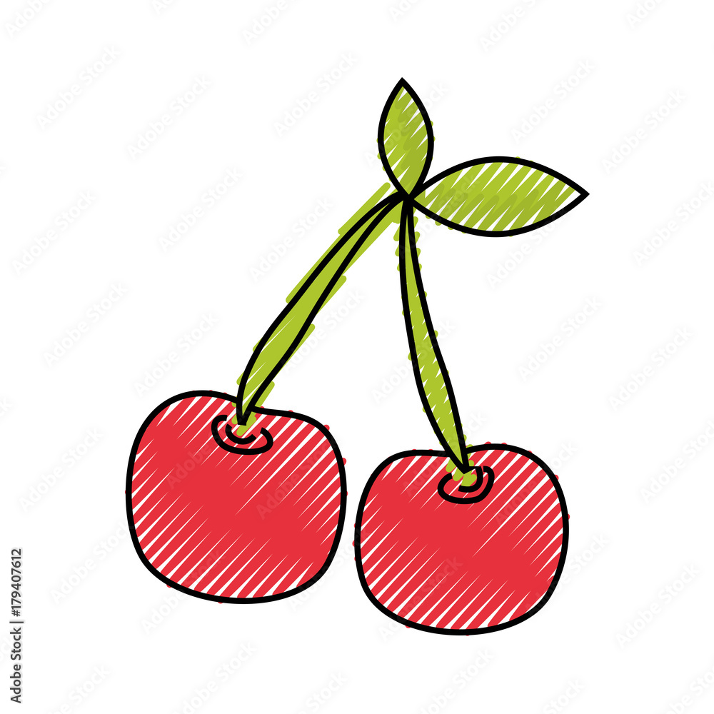 flat line colored cherries doodle over white background vector illustration flat line colored cherries doodle over white background vector illustration