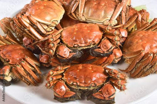 Photography Steamed Chinese hairy crabs on plate